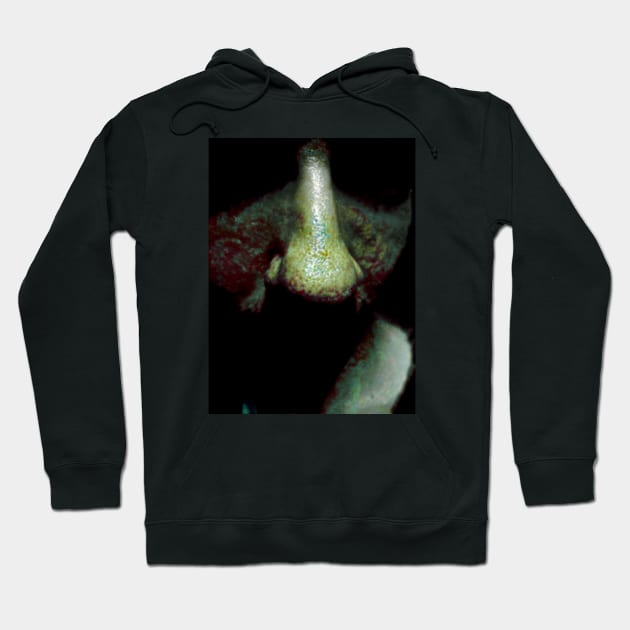 Portrait, digital collage and special processing. Close up to face, nose. Weird and dark. Hoodie by 234TeeUser234